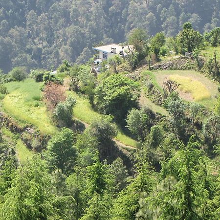 Shimla Nature Ville Zewnętrze zdjęcie