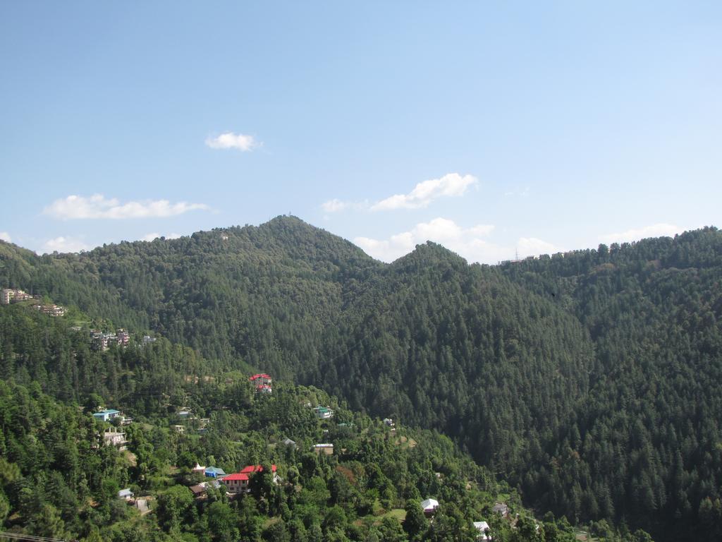 Shimla Nature Ville Zewnętrze zdjęcie
