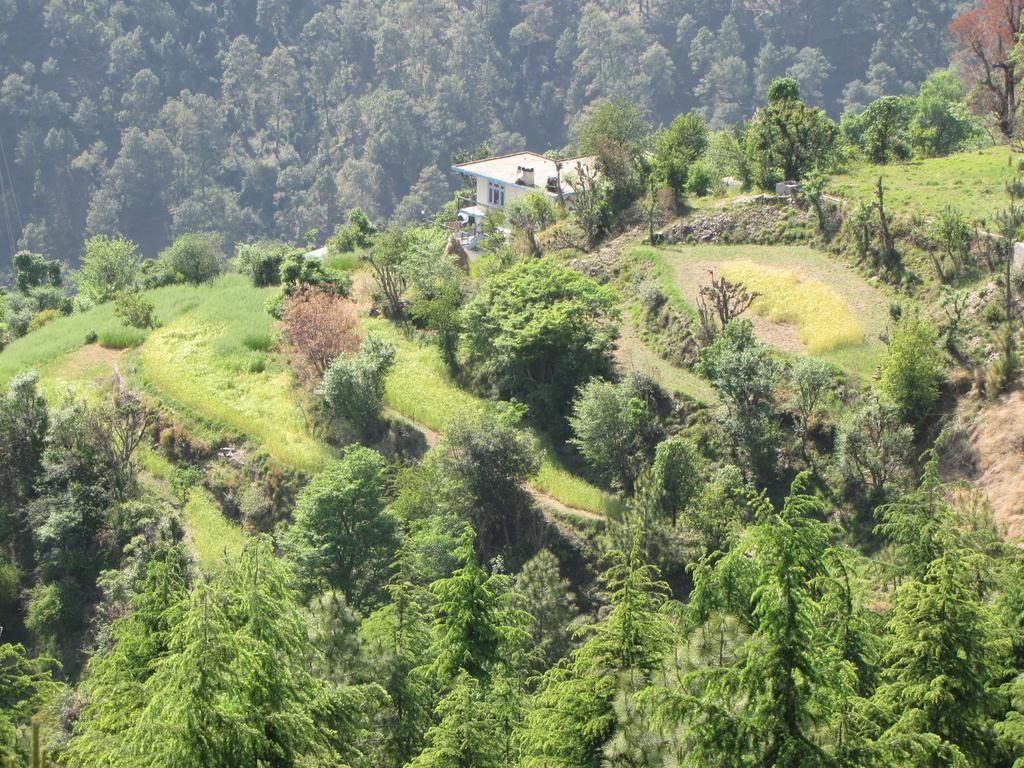 Shimla Nature Ville Zewnętrze zdjęcie